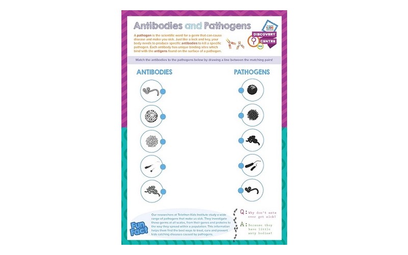 Antibodies and Pathogens PDF