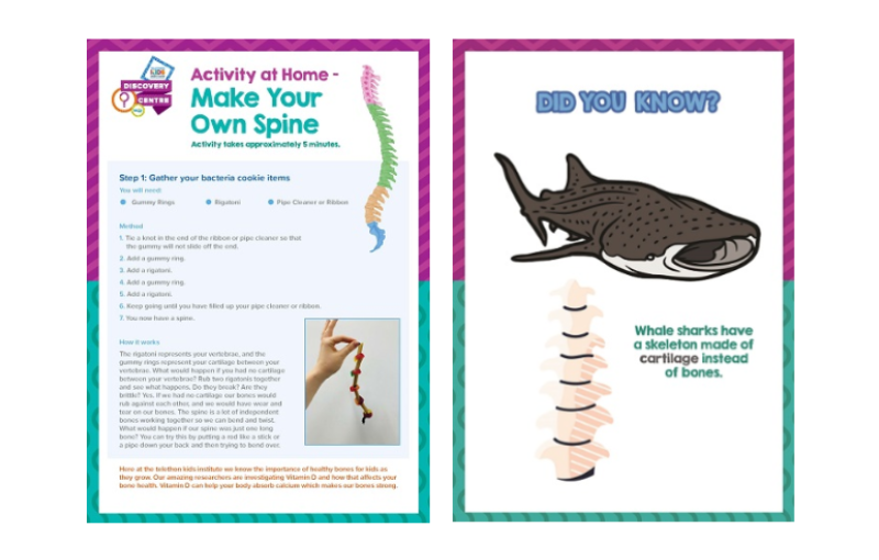 Make Your Own Spine Activity